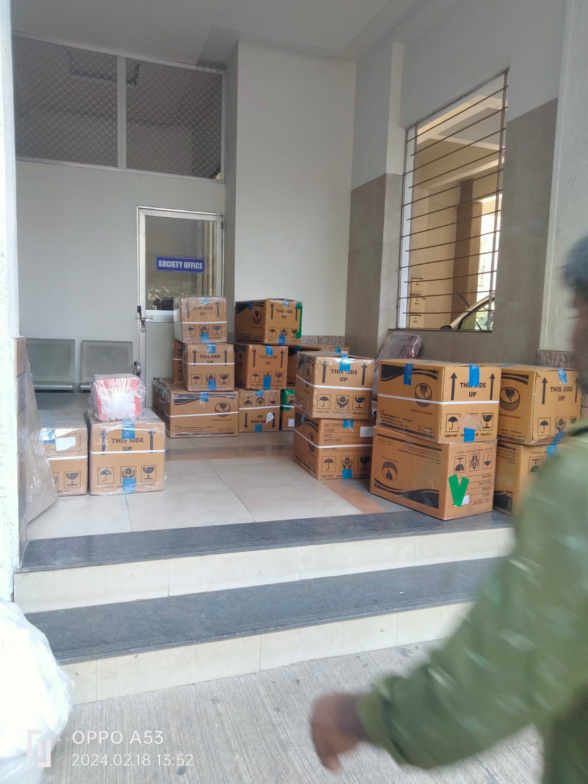 Professional packers and movers team